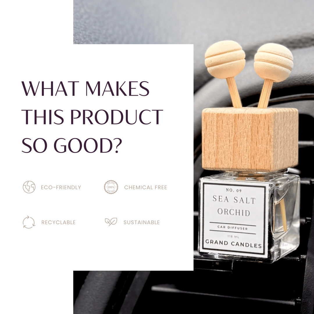 Sea Minerals Car Diffuser